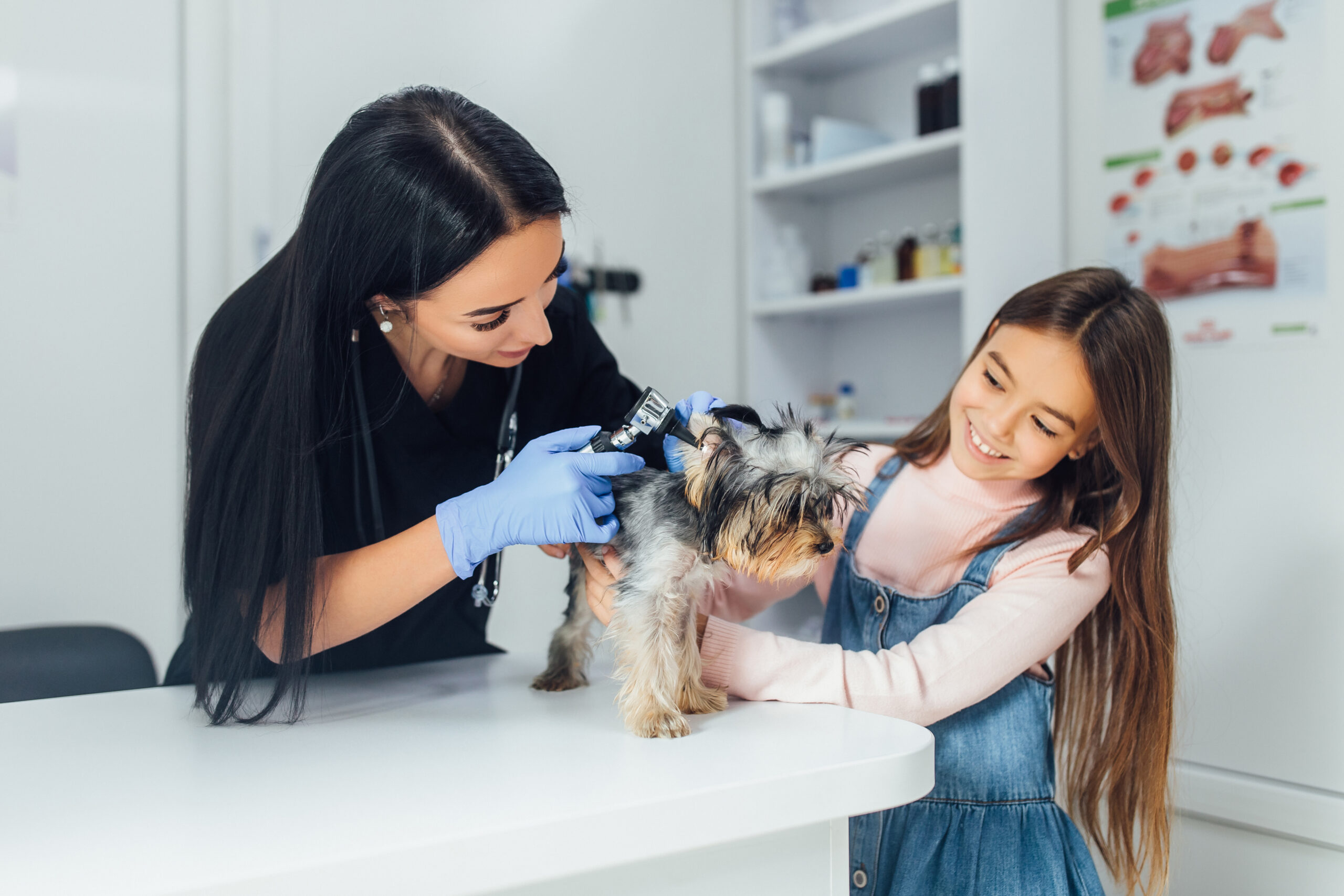 Veterinary & Pet Care